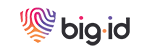 BigID logo